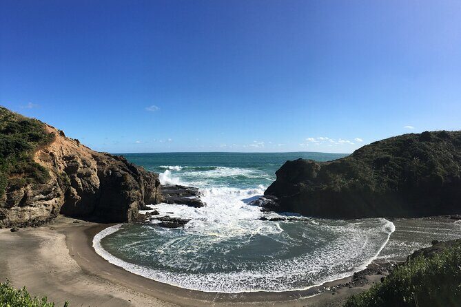 Full Day Sightseeing Tour in Auckland - An In-Depth Look at the Full Day Auckland Tour