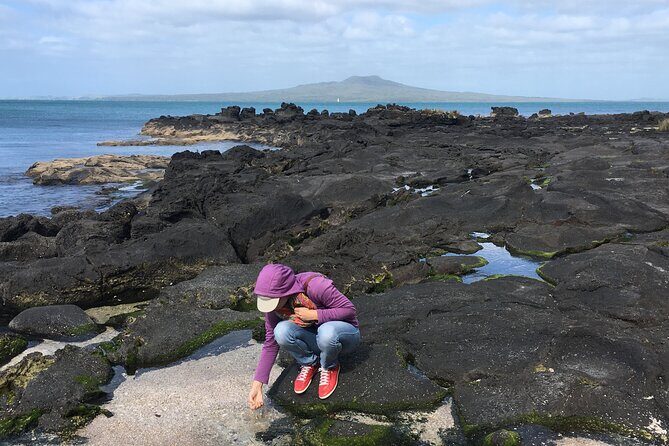 Full Day Sightseeing Tour in Auckland - FAQs