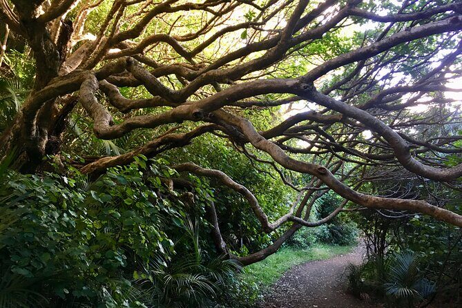 Full Day Sightseeing Tour in Auckland - Final Thoughts