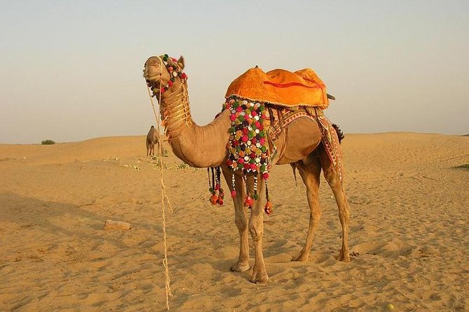 Full Day Sightseeing Tour of Jaisalmer - Tour Itinerary