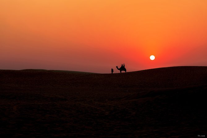 Full Day Sightseeing Tour of Jaisalmer - Pricing and Guarantee
