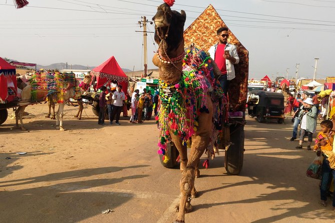 Full Day Sightseeing Tour of Jaisalmer - Customer Reviews