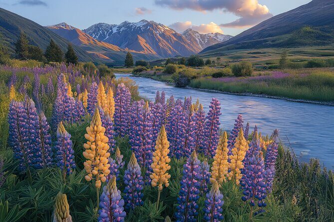 Full Day Sightseeing Tour To Discover Queenstown's Scenic Wonder - The Sum Up