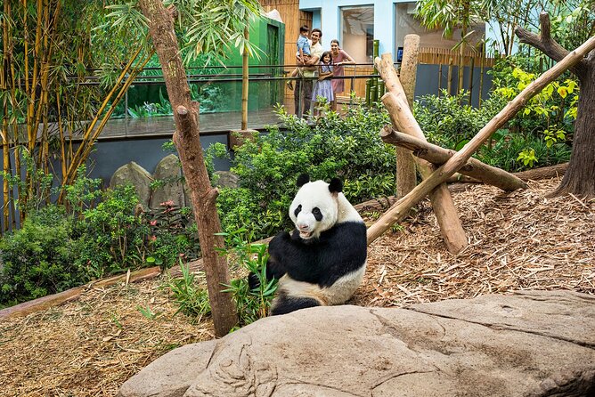 Full Day Singapore River Theme Park Admission - Pricing and Ticket Information