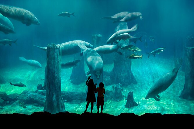 Full Day Singapore River Theme Park Admission - Additional Information