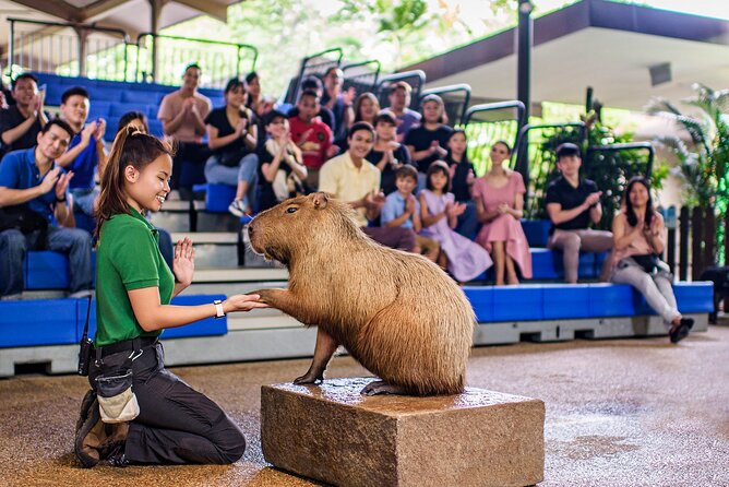 Full Day Singapore River Theme Park Admission - Lowest Price Guarantee