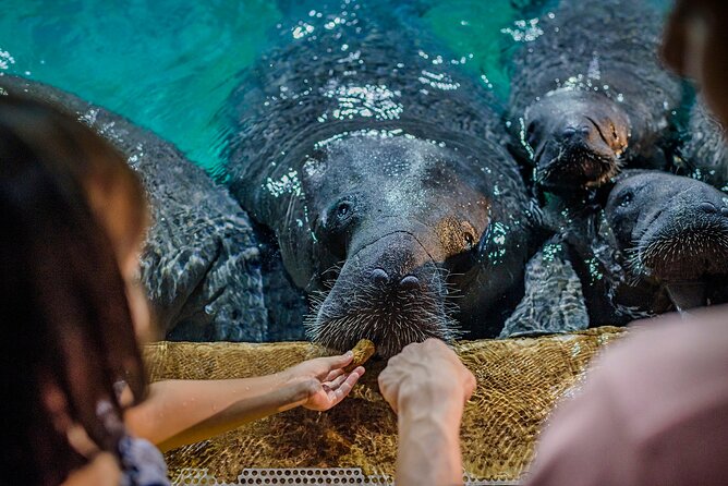 Full Day Singapore River Theme Park Admission - Validity and Delivery of Official Ticket