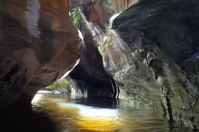 Full-Day Small-Group Canyoning Tour, Blue Mountains - Additional Information