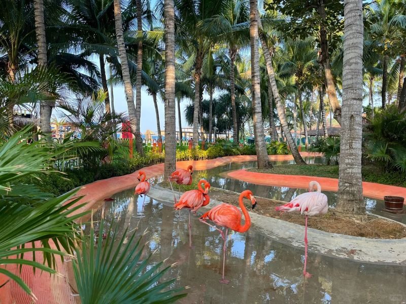 Full-Day Small Group Exploration Tour of Wuzhizhou Island, Sanya (Including Pick-Up/Drop-Off and Admission Tickets) - Why Wuzhizhou Island suits a full-day trip