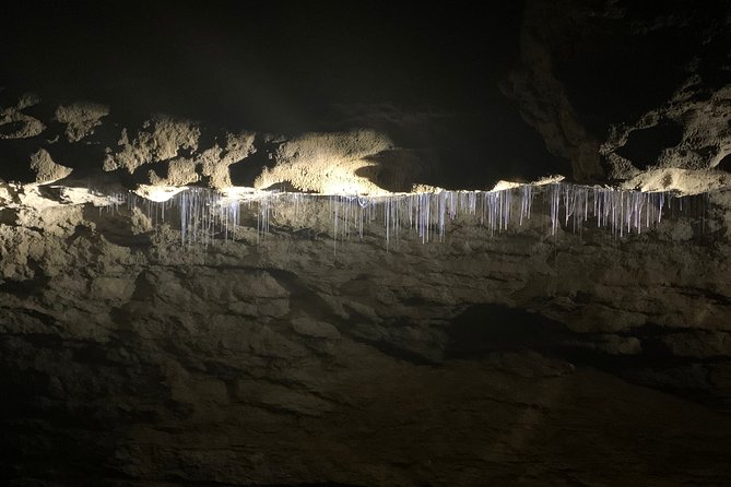 Full-Day Small-Group Glowworm Exploration Tour in New Zealand - Tour Highlights