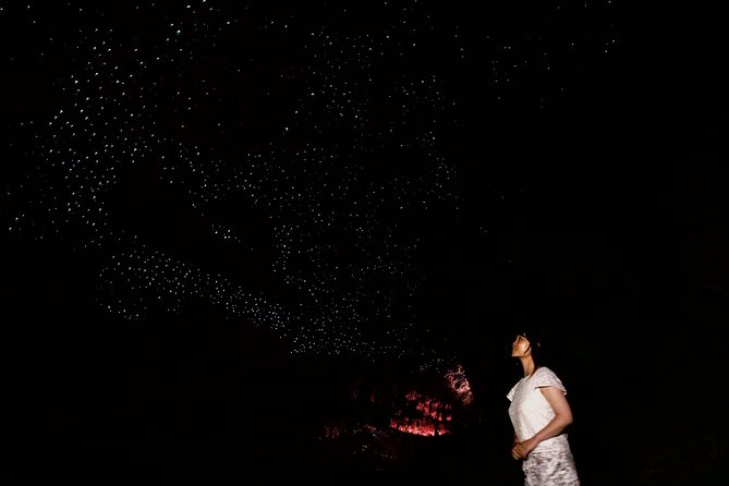 Full-Day Small-Group Glowworm Exploration Tour in New Zealand - Common Questions