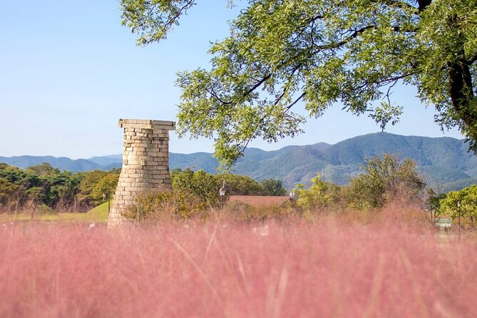 Full-Day Small Group Gyeongju History Tour From Seoul - Knowledgeable Tour Guides