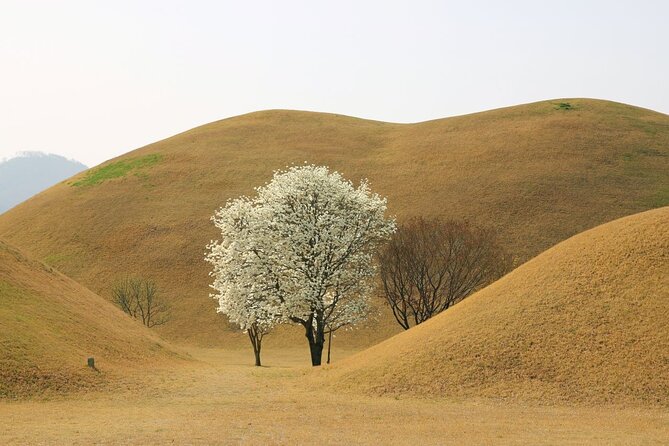 Full-Day Small Group Gyeongju History Tour From Seoul - Optional Add-Ons and Upgrades