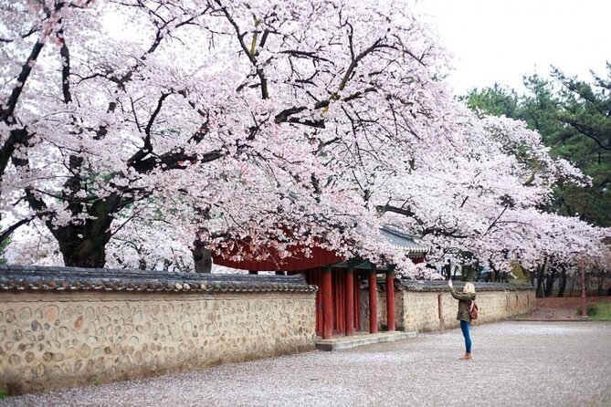 Full-Day Small Group Gyeongju History Tour From Seoul - Booking and Pricing Information