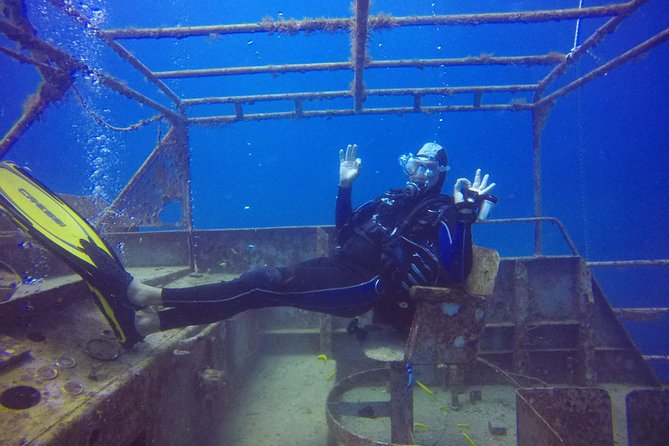 Full-Day Small-Group Martinique Catamaran Tour - Reviews and Support