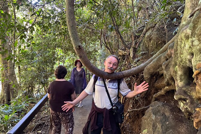 Full-Day Small-Group Outdoor Adventure. Tamborine Mountain  - Brisbane - Common Questions