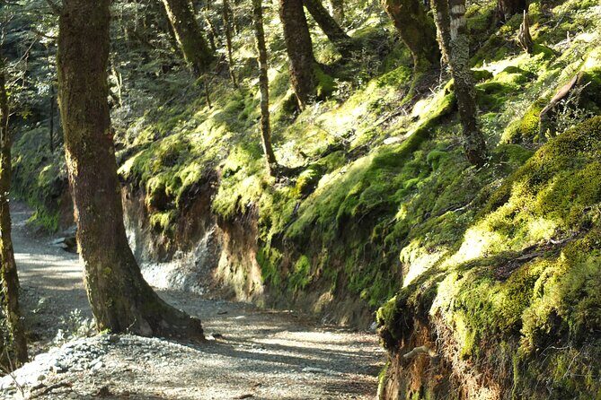 Full Day Small Group Routeburn Valley Hike - Practical Tips for Your Day