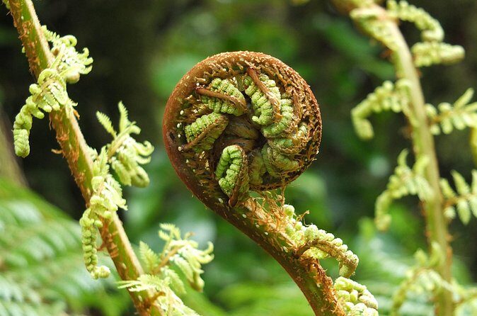 Full Day Small Group Routeburn Valley Hike - Final Thoughts: Who Will Love This Tour?