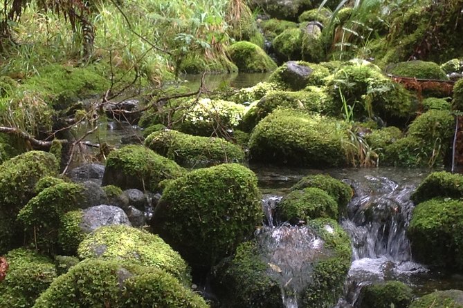 Full-Day Small-Group Routeburn Valley Walk - Scenic Highlights of the Routeburn Track