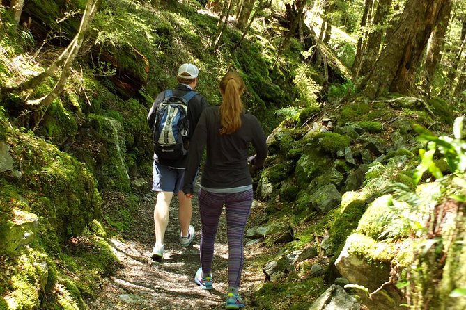 Full-Day Small-Group Routeburn Valley Walk - Difficulty Level and Trail Distance