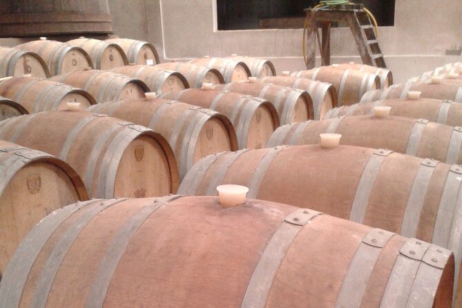 Full Day Small Group Sintra and Wine Tour From Lisbon - What To Expect