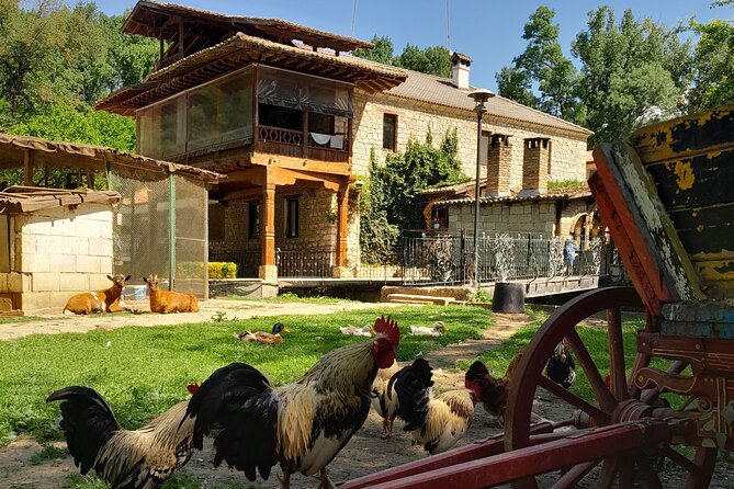 Full-Day Small-Group Tour of Bulgaria by Minivan With Lunch - Sample Itinerary