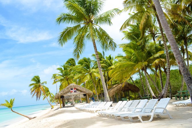 Full-Day Small-Group Tour With Lunch and Drinks, Saona Island - Punta Cana - Tour Itinerary