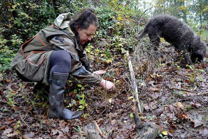 Full-Day Small-Group Truffle Hunting in Tuscany With Lunch - Guides Excellence