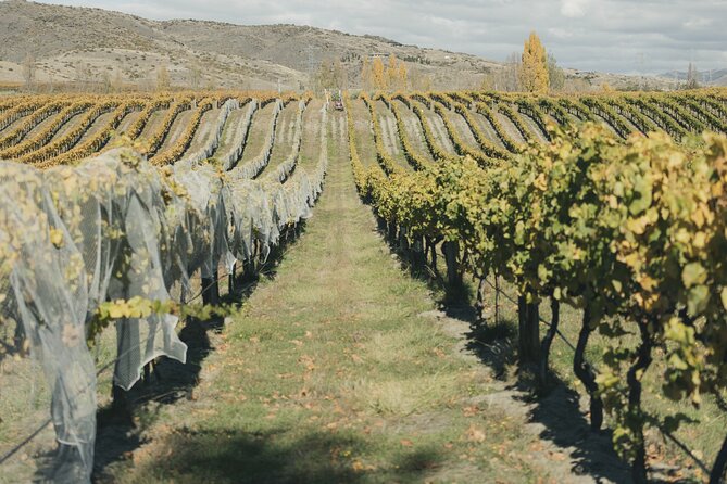 Full-Day Small-Group Wineries Tour With Tastings, Queenstown - Reviews and Ratings