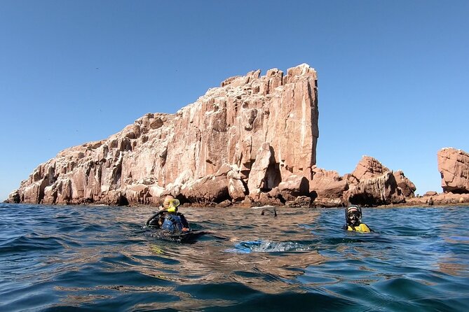 Full Day Snorkel and Swim With Sea Lions & Whale Sharks in La Paz - Tour Confirmation and Accessibility
