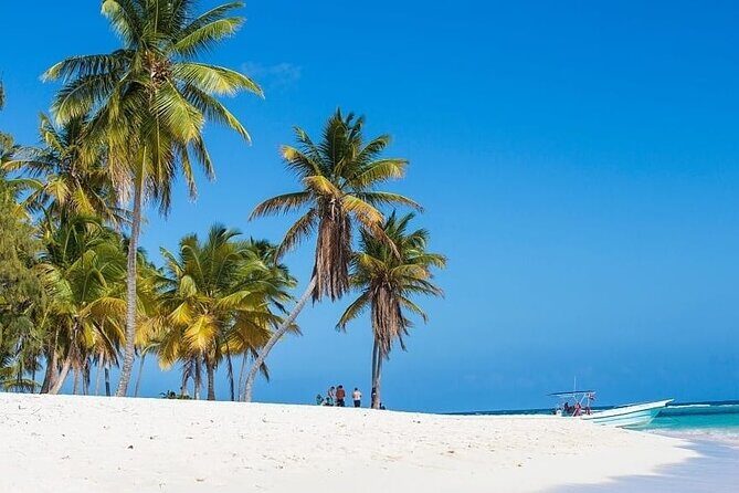 Full-Day Snorkeling Adventure at Catalina Island from Punta Cana - Good To Know