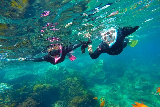 Full-Day Snorkeling Adventure at Catalina Island from Punta Cana - An In-Depth Look at the Experience