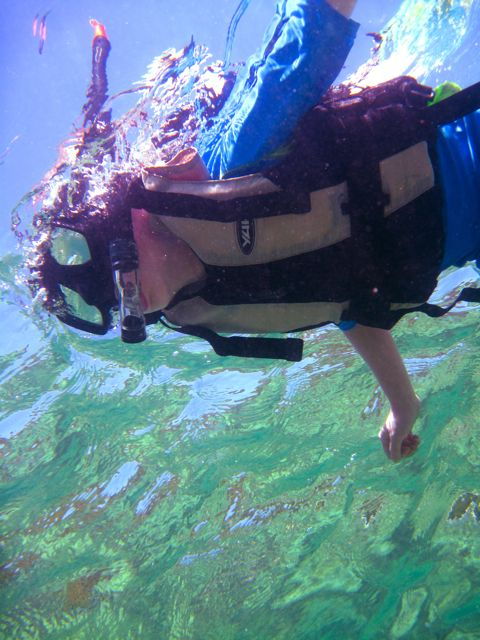 Full-Day Snorkeling Adventure From Kota Kinabalu - Review Summary