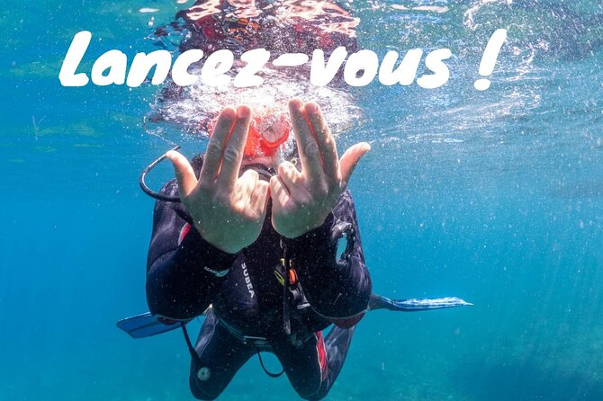 Full-Day Snorkeling and Guided Dive in the Calanques National Park From Marseille - Trip Details