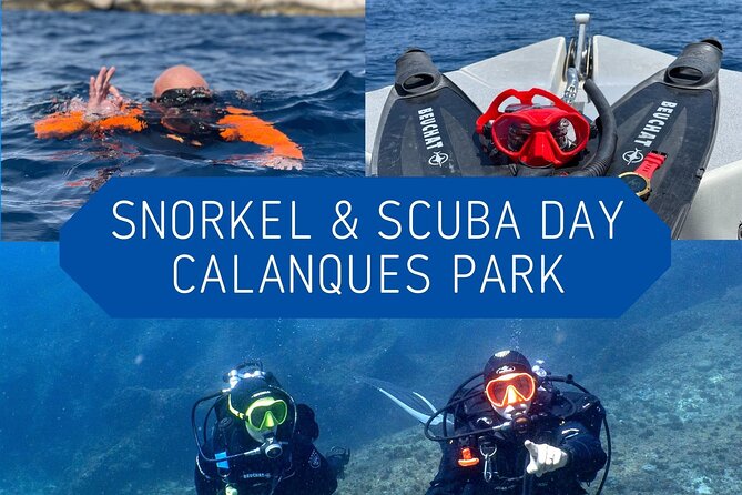 Full-Day Snorkeling and Guided Dive in the Calanques National Park From Marseille - Additional Information