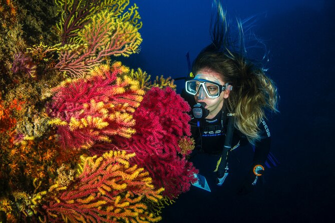 Full-Day Snorkeling and Guided Dive in the Calanques National Park From Marseille - Reviews
