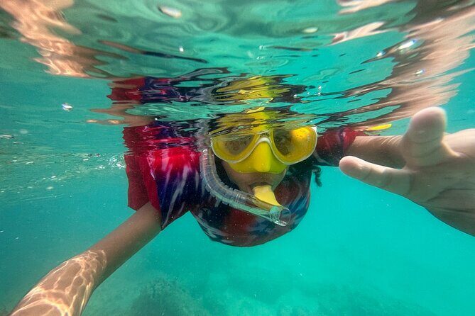 Full-Day Snorkeling Gear Rental in Puerto Rico - The Experience in Detail: From Booking to Snorkeling