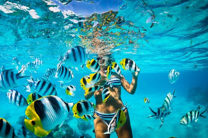Full Day Snorkeling in Catalina Island With Transportation and Lunch - Directions and How to Get There