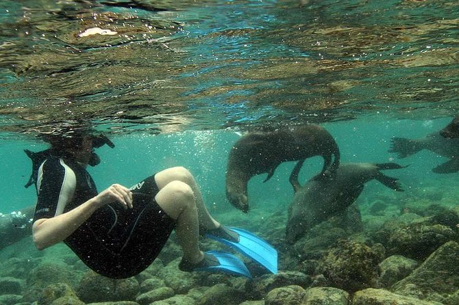 Full-Day Snorkeling Rental Package - Tips for First-Time Snorkelers and Independent Beach Day