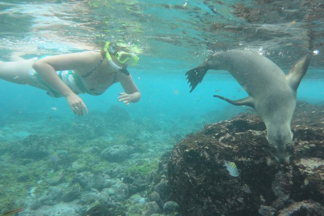 Full-Day Snorkeling Rental Package - Traveler Photos and Testimonials