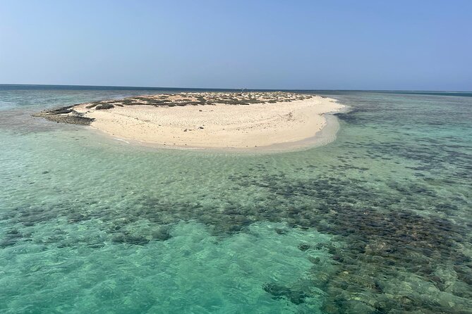 Full-Day Snorkeling Sea Trip to Hamata and Qulaan Islands - Good To Know