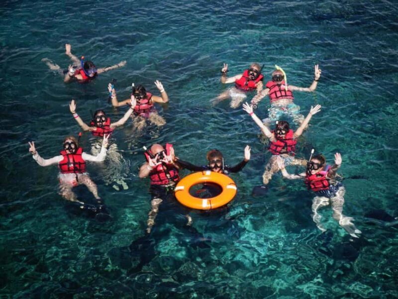 Full-Day Snorkeling Tour to Catalina Island - The Beachside Lunch Experience