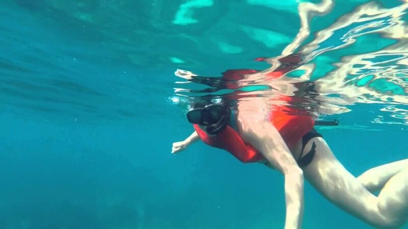 Full-Day Snorkeling Tour to Catalina Island - FAQ