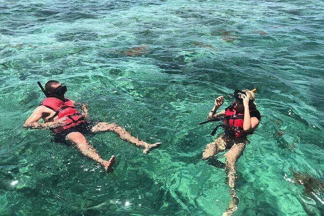 Full-Day Snorkeling Tour to Catalina Island - Good To Know