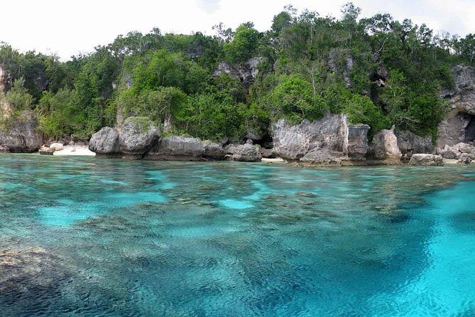 Full Day Snorkelling Cruise in Tranquility Island Resort - Practical Details and Tips