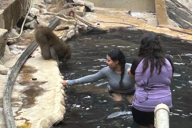 Full Day Snow Monkey Tour To-And-From Tokyo, up to 12 Guests - Monkey Bathing and Snow Play