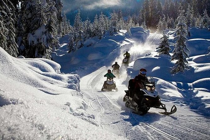 Full Day Snowmobile Safari - Snowmobile Safari Experience