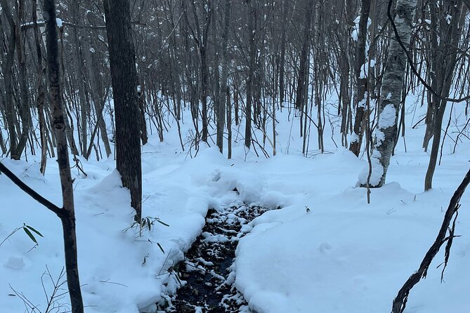 Full Day Snowshoeing Adventures. - Important Info: Confirmation, Fitness Level, More