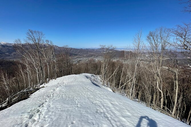 Full Day Snowshoeing Adventures. - The Sum Up