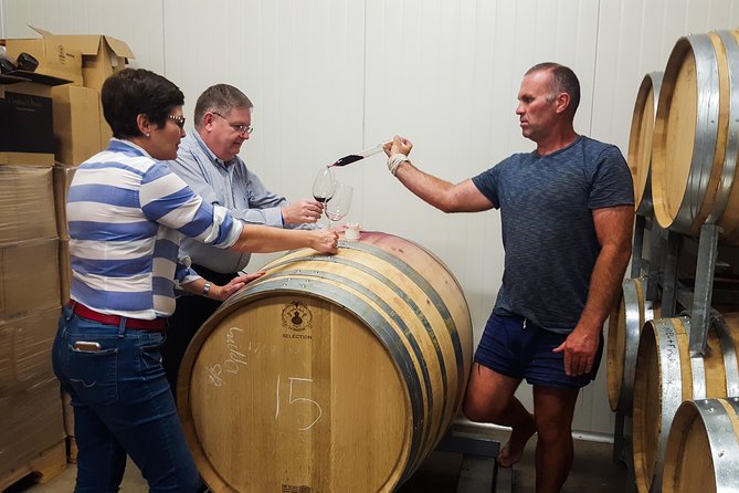Full-Day Sommelier Guided Private Wine Tour of Central Otago - Tour Details